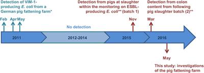 Characterization of VIM-1-Producing E. coli Isolated From a German Fattening Pig Farm by an Improved Isolation Procedure